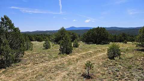 29780 County Rd 16, Trinidad, CO 81082