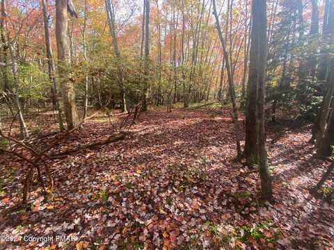 Lot 102 Crescent Way, Albrightsville, PA 18210