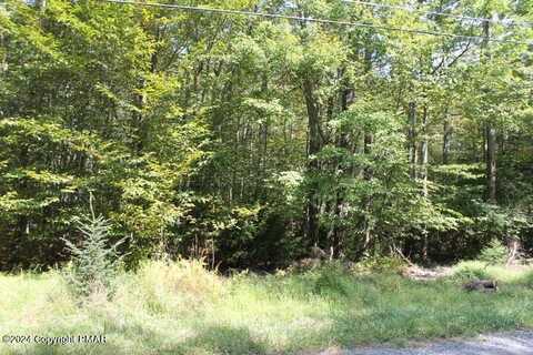 Lot 24 SHESHEQUIN Drive, Pocono Lake, PA 18347