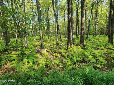 3.44 Acres Leba Lane, Honesdale, PA 18431