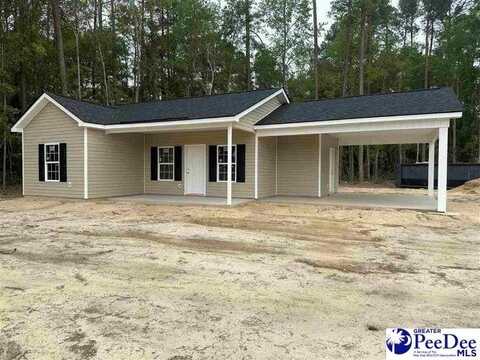 Lot 1 N 8th Avenue, dillon, SC 29536