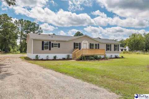 2720 Alligator Rd, Effingham, SC 29541