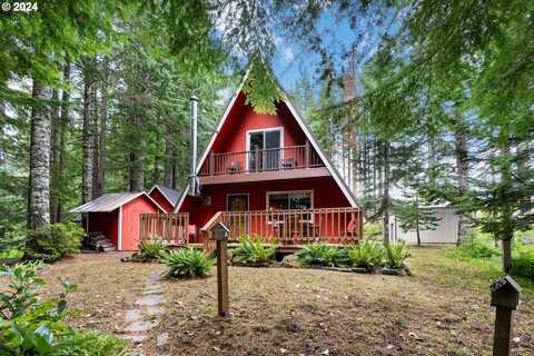 2 WILDERNESS DR, Cougar, WA 98616