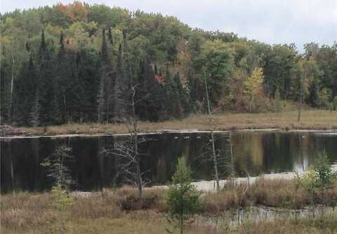 0 Co Rd 11, Perry Lake Twp, MN 56441