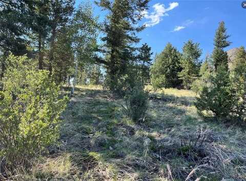 1913 S RIDGE ROAD, Bailey, CO 80421