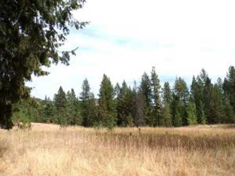 Cedar Creek Rd, Inchelium, WA 99138