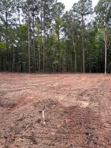 2590 Sargent Rd Lot 2, Dalzell, SC 29040