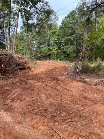 2598 Sargent Rd Lot 1, Dalzell, SC 29040