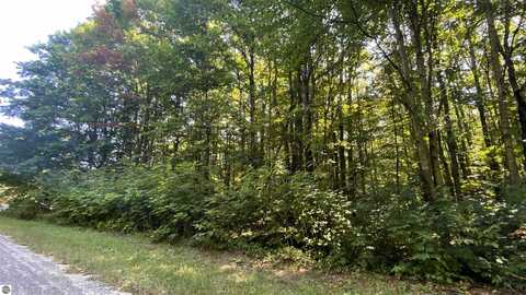 Lot 466 Northwood Drive, Elmira, MI 49730