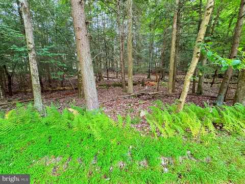 Lot 12-S-1 ORION WAY, LAKE ARIEL, PA 18436