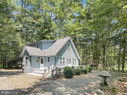 91 MINISINK DRIVE, POCONO LAKE, PA 18347