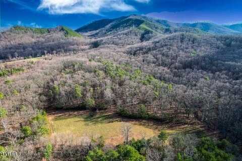 20 Acres Perry Davis Road, Greeneville, TN 37743