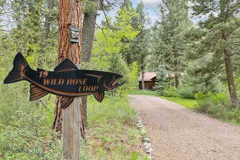 Wild Rose, PHILIPSBURG, MT 59858