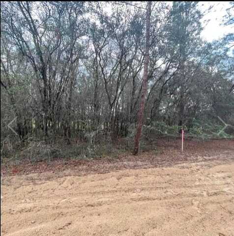 Crestview, INVERNESS, FL 34452