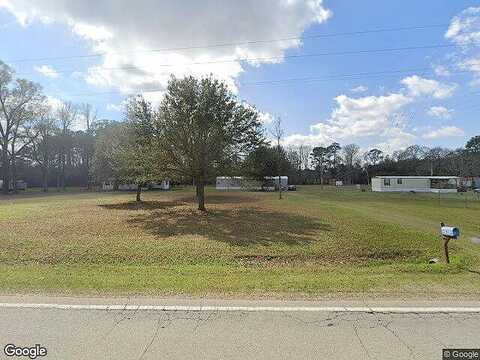 Eldora Rd, Ellabell, GA 31308