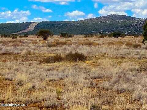 Tbd Yucca Trail 10.2 Acres, Ash Fork, AZ 86320