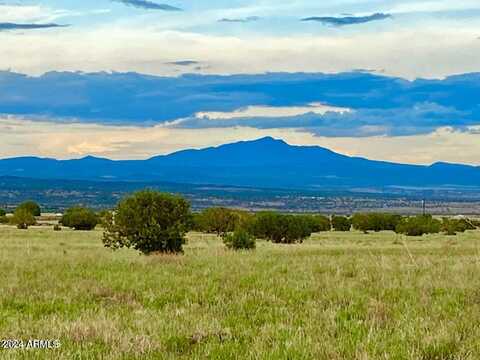 Tbd Yucca Trail 10 Acres --, Ash Fork, AZ 86320