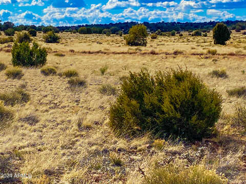 Tbd Hyde Park Rd. 9.92 Acres --, Seligman, AZ 86337