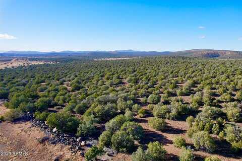 Tbd Fort Rock --, Seligman, AZ 86337