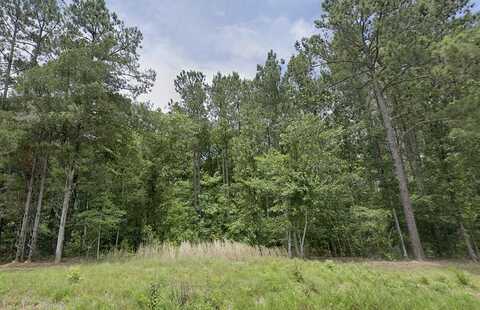 Lot B Daniel Avenue, Johnston, SC 29832