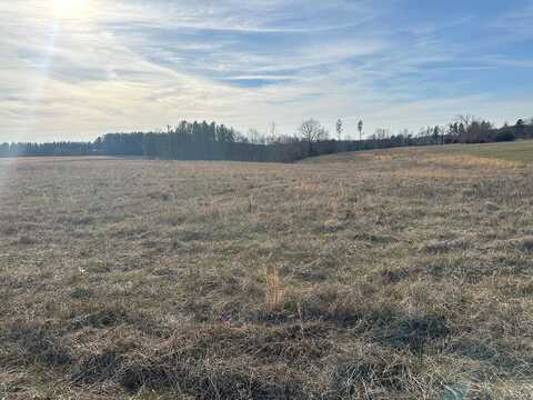 Lewis Ford Rd Lot 3, Brookneal, VA 24528