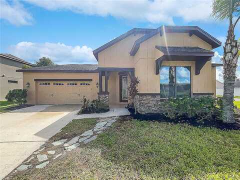 Blackthorn, KISSIMMEE, FL 34758