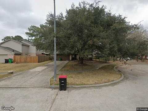 Conefall, SPRING, TX 77373