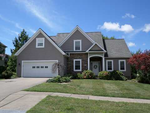 Larch, FAIRVIEW, PA 16415