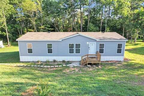 Chalybeate, MANCHESTER, GA 31816