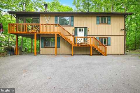 Stag, POCONO LAKE, PA 18347