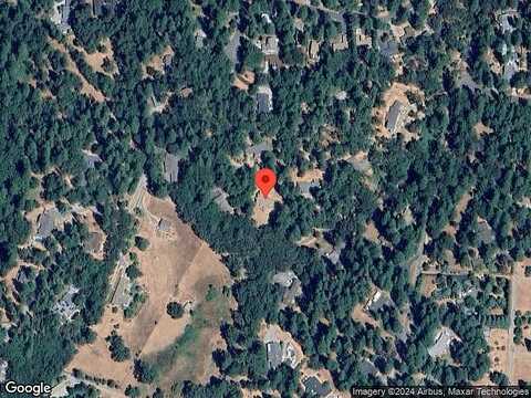 Mountain Lion, GRASS VALLEY, CA 95949