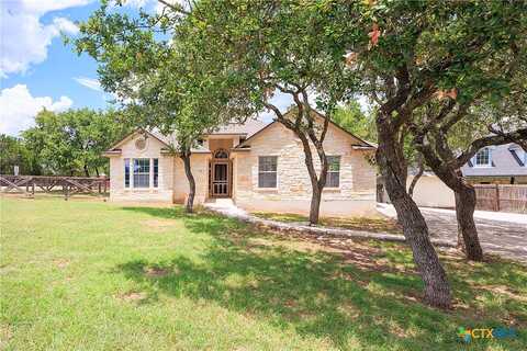 Button Bush, WIMBERLEY, TX 78676