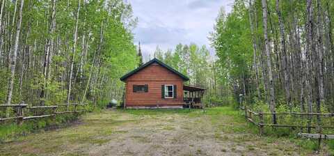 Town Road 166, Littlefork, MN 56653