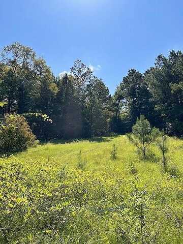 Tbd County Road 1755 Houston Co, Grapeland, TX 75844