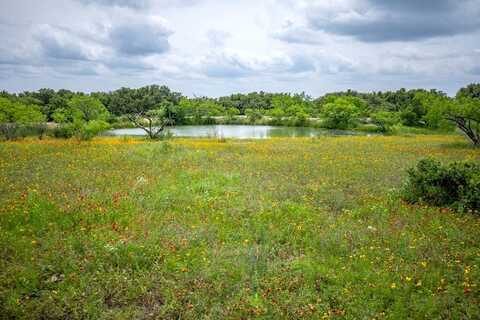 Tract 4 Tbd County Road 292, Early, TX 76802