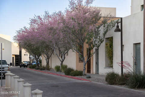 S Avenida Del Palo Fierro, Tucson, AZ 85745