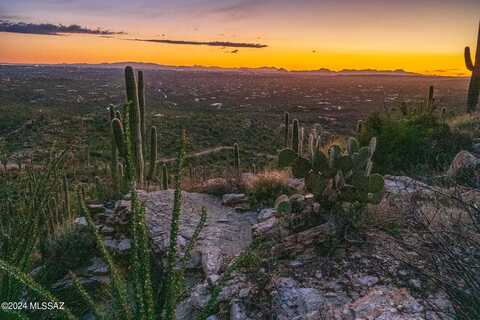 E Cabeza De Vaca, Tucson, AZ 85749