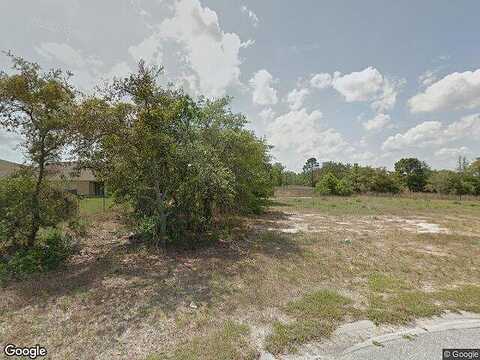 Impatiens, SPRING HILL, FL 34609