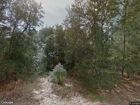 Paris, INTERLACHEN, FL 32148