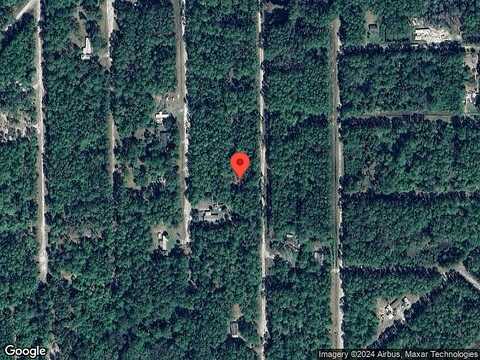 Forest, GEORGETOWN, FL 32139