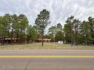 Mogollon Drive 105, Overgaard, AZ 85933