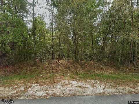 Hickory Nut, SATSUMA, FL 32189