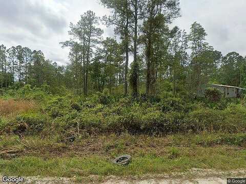 Hickory Nut, SATSUMA, FL 32189