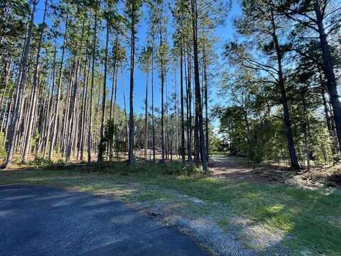 0 Pinewood Court, Vidalia, GA 30474