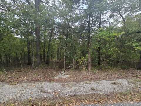 39 Hillside DR, Holiday Island, AR 72631