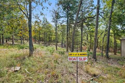 Lot 1 10601 Slate Gap RD, Garfield, AR 72732