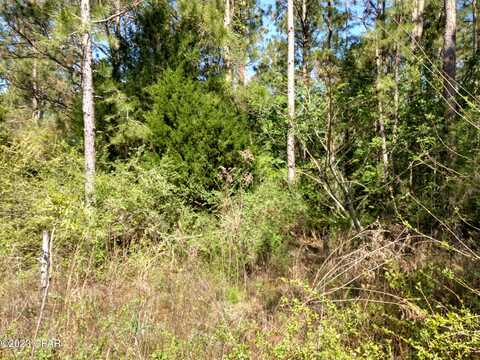 00 Channing Drive, Chipley, FL 32428