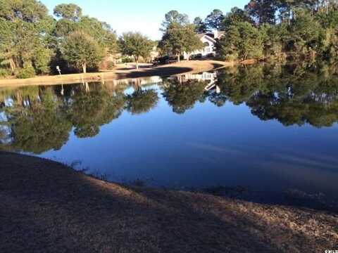 1453 Gleasons Landing Drive, Islandton, SC 29920