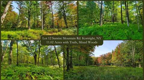 Lot 12 Sunrise Mt Road, Great River, NY 13739