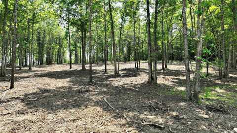 TBD, Tract 3 Polk Road 158, Mena, AR 71953